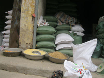 Thúc lợn tăng cân, siêu nạc bằng “thần dược” hoóc môn